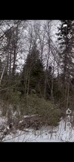 Two Mc Alpine Spur Road Two Harbors, MN 55616 - Photo 6 of 14
