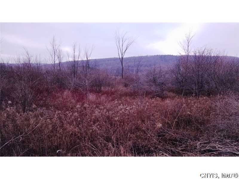 0 West Side East Road Turin, NY 13473 - Photo 1 of 1 Land