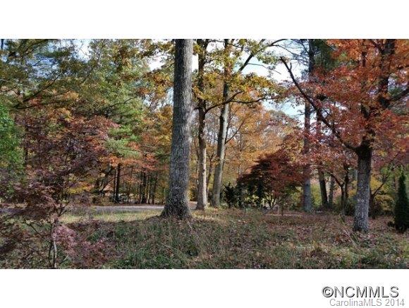 3 Wyoke Road Fletcher, NC 28732 - Photo 3 of 10 Gallery Image 3