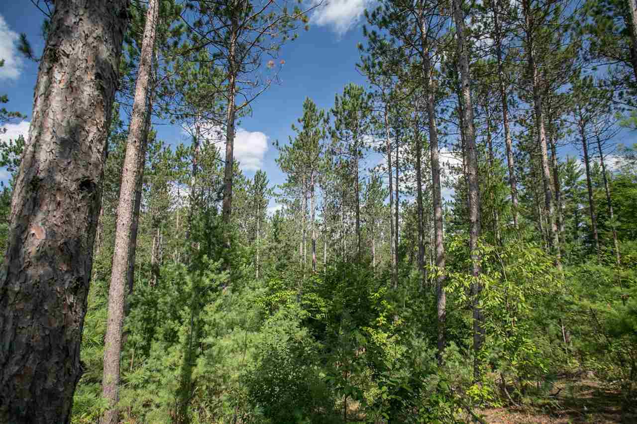 Burnt Mill Road Interlochen, MI 49643 - Photo 9 of 25 1863508-8.JPG