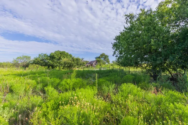 a view of a garden from a lake