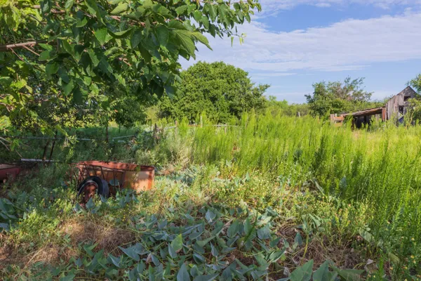 a view of a garden with a lake