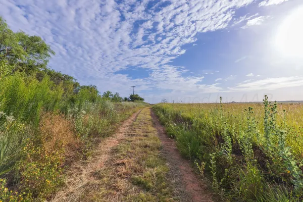 a view of a pathway with a yard
