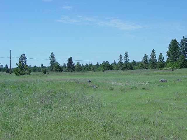15018 South Stentz Road Spangle, WA 99031 - Photo 2 of 3