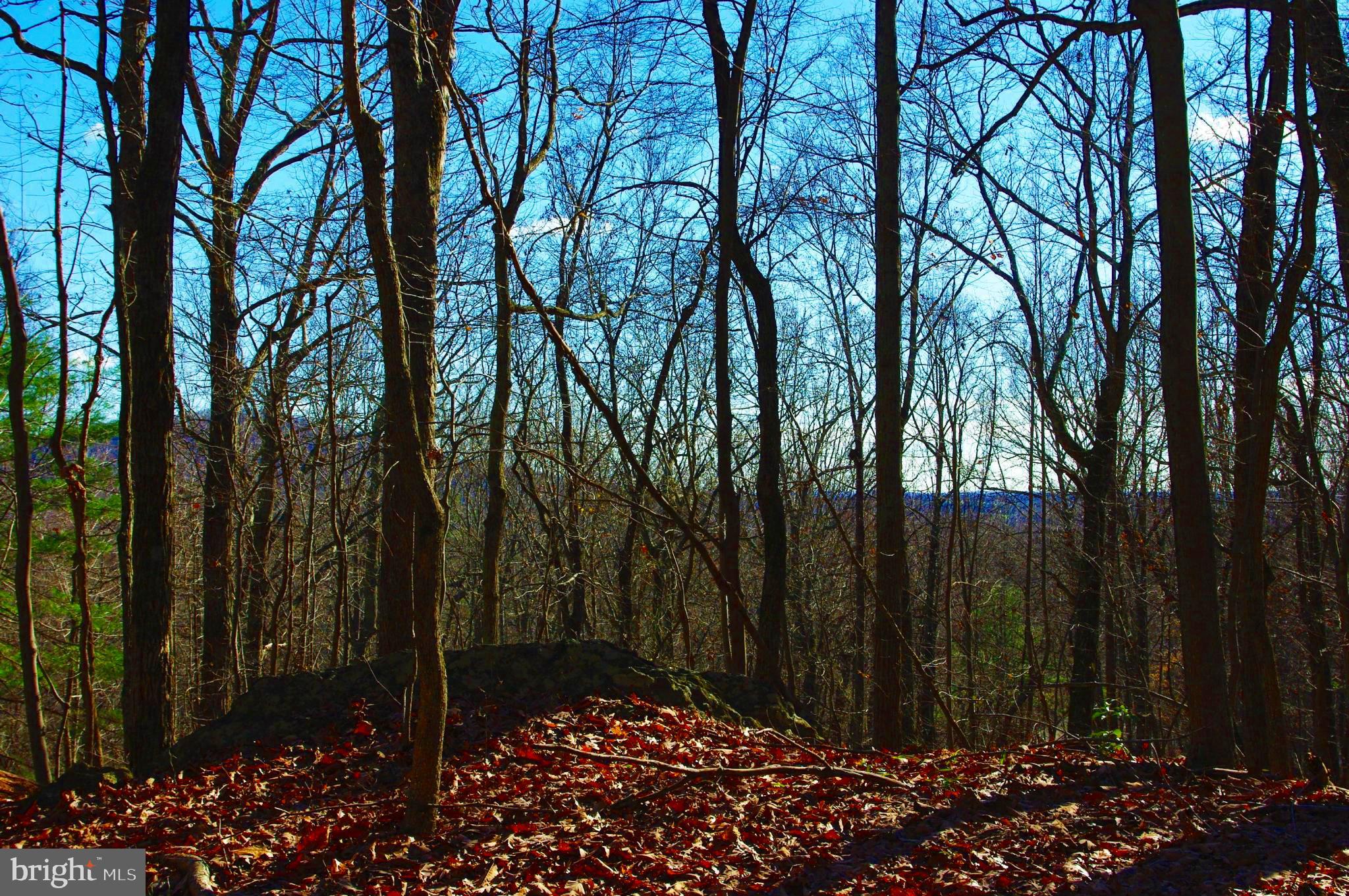 0 Comptons Road Castleton, VA 22716 - Photo 2 of 14 View from an elevated spot
