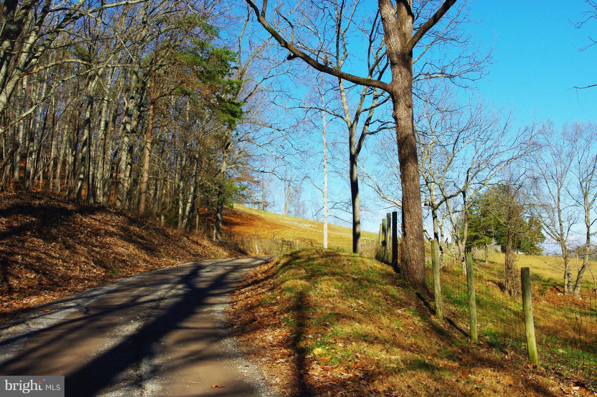 0 Comptons Road Castleton, VA 22716 - Photo 10 of 14 Comptons Road is quiet and lightly traveled