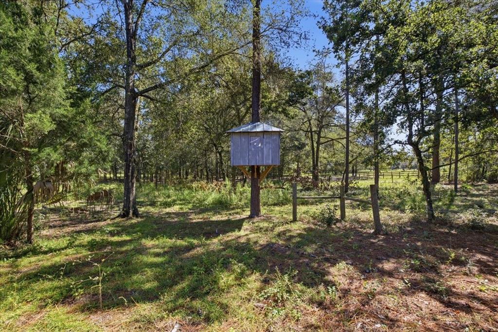 10149 Rockbay Road Brooksville, FL 34601 - Photo 20 of 51 Gallery Image 20