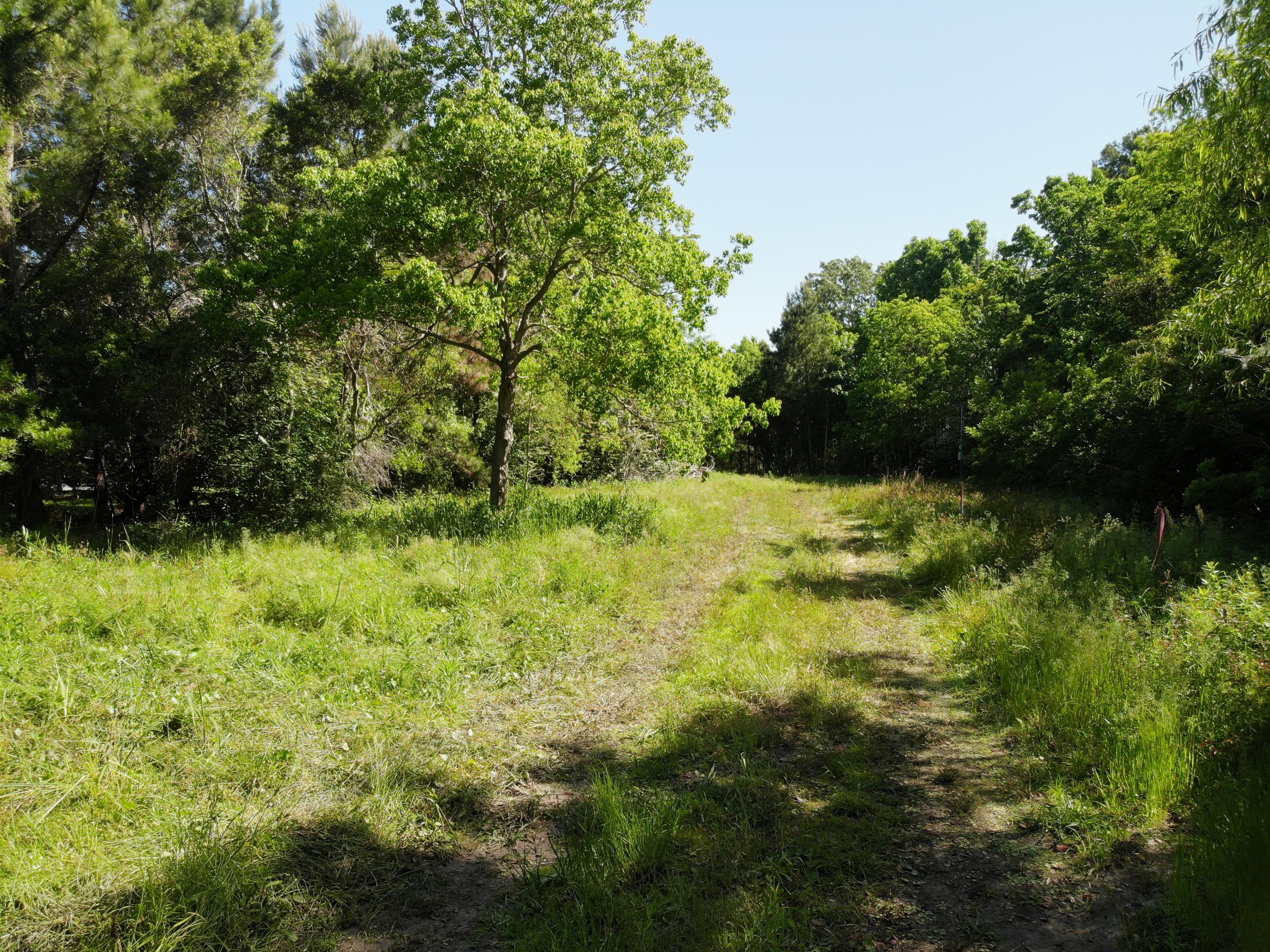 0 River Road, Unit LOT A6 Johns Island, SC 29455 - Photo 6 of 8 DJI_0102