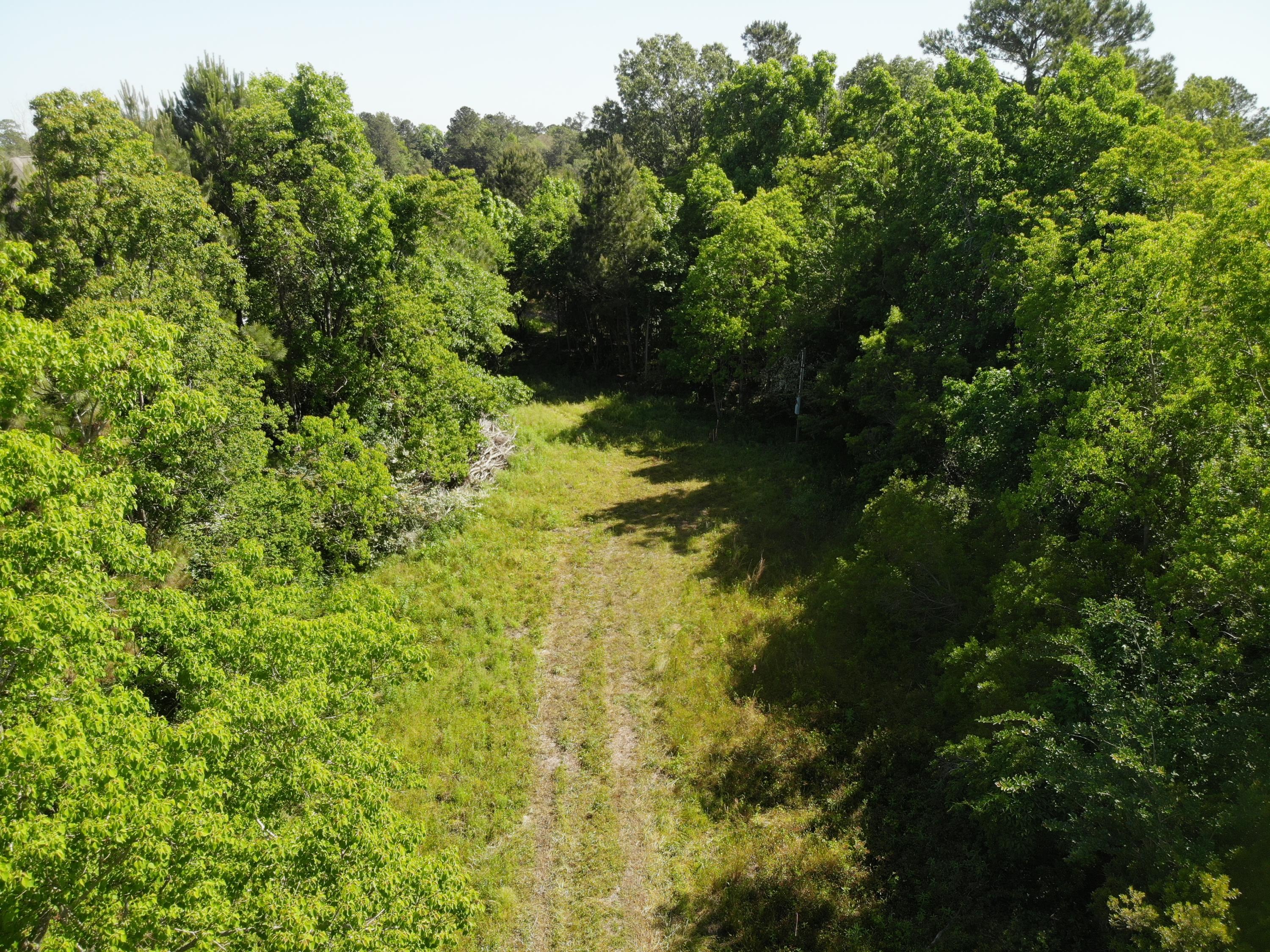 0 River Road, Unit LOT A6 Johns Island, SC 29455 - Photo 7 of 8 DJI_0103