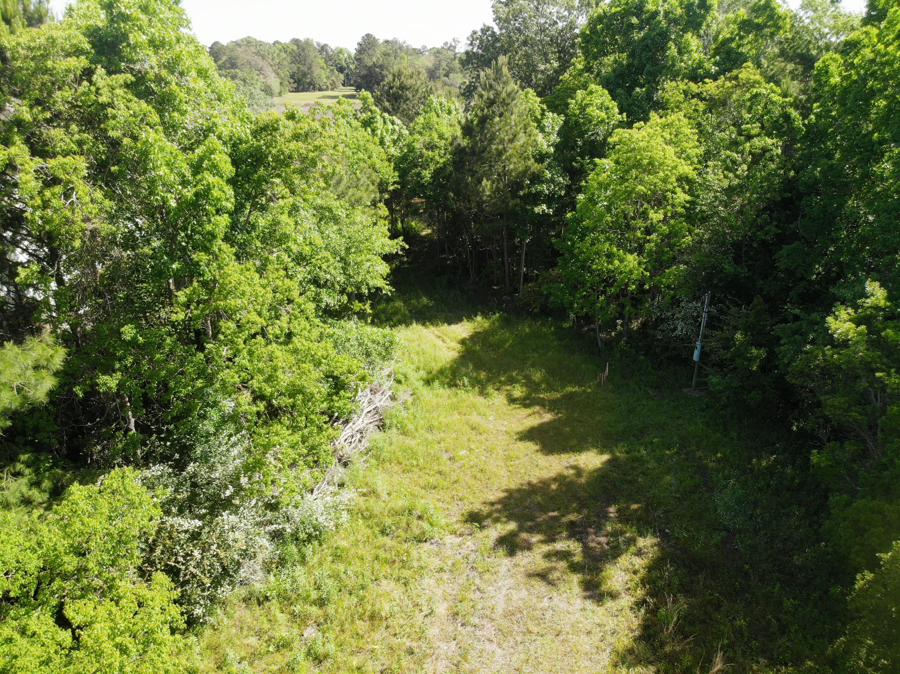 0 River Road, Unit LOT A6 Johns Island, SC 29455 - Photo 8 of 8 DJI_0104