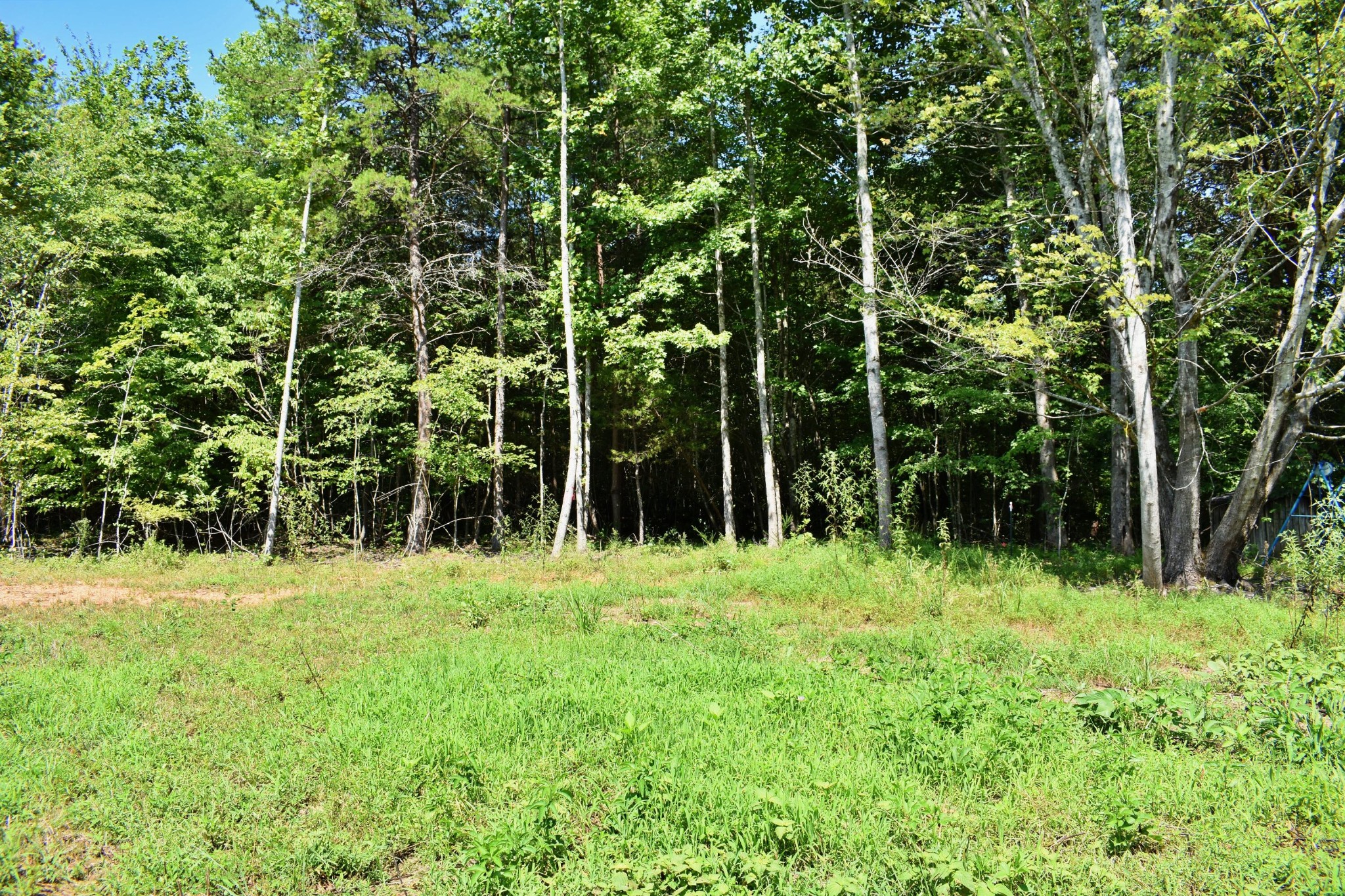521 Norton Road Philadelphia, TN 37846 - Photo 8 of 42