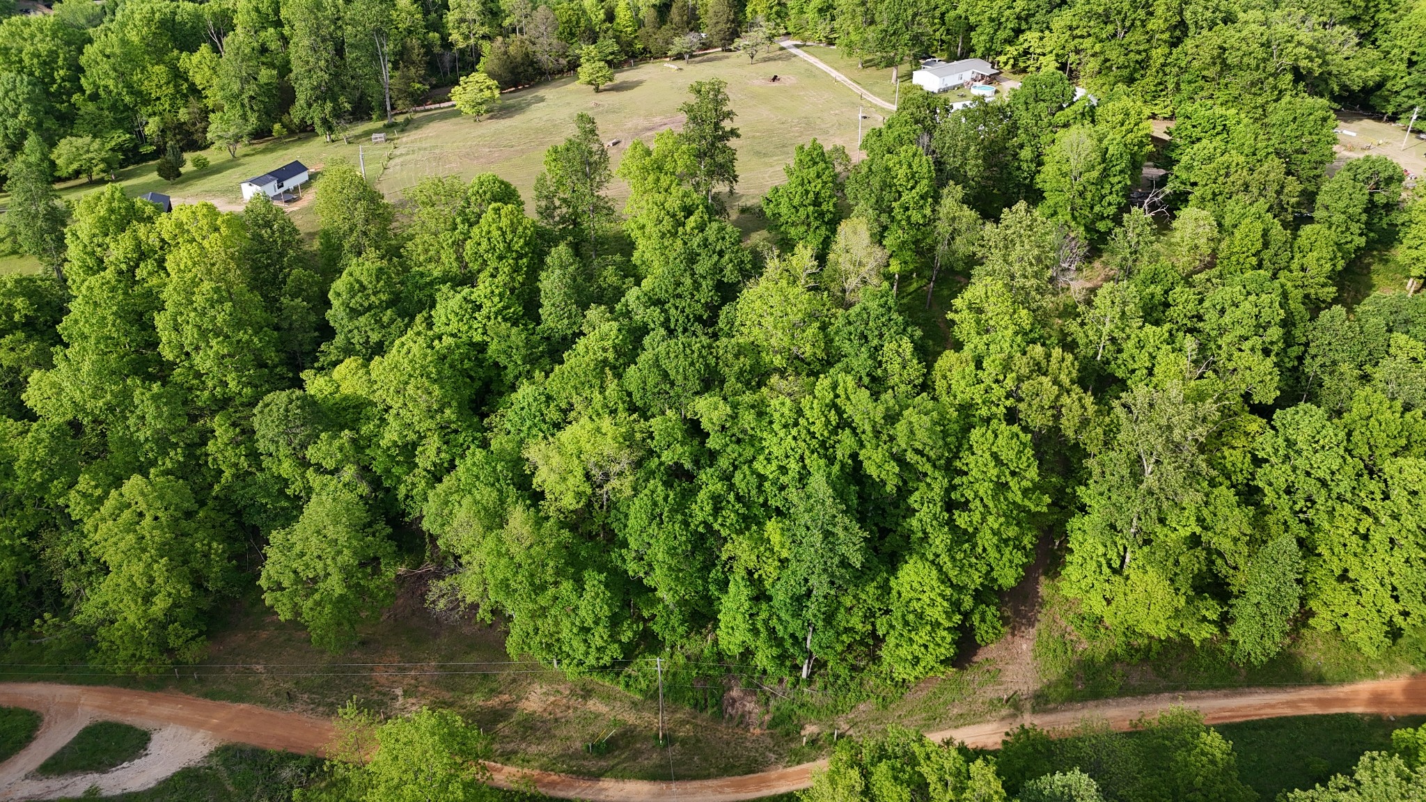 0 Rocky Point Road Bon Aqua, TN 37025 - Photo 1 of 12 a view of a lush green forest with lots of trees
