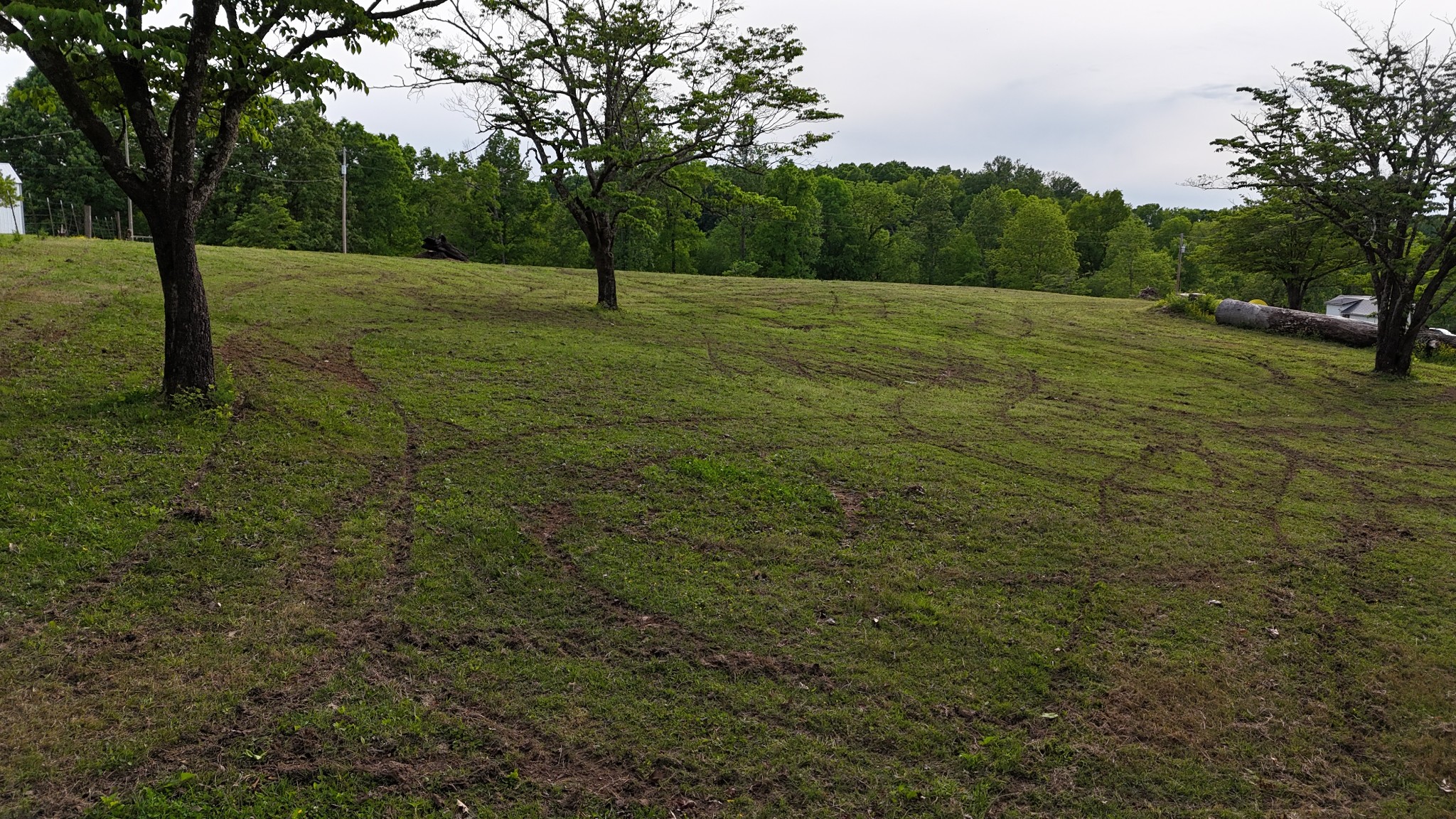 0 Rocky Point Road Bon Aqua, TN 37025 - Photo 3 of 12 a view of outdoor space with trees all around