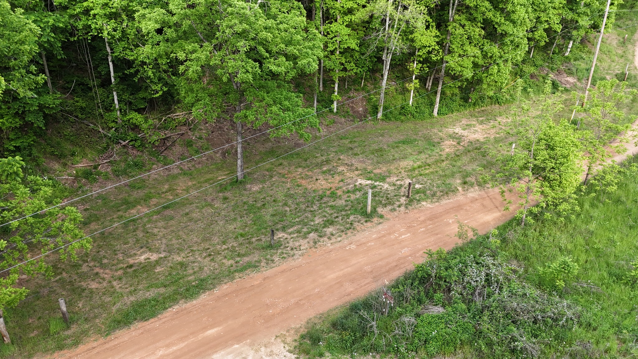 0 Rocky Point Road Bon Aqua, TN 37025 - Photo 6 of 12 a view of a forest with trees in the background