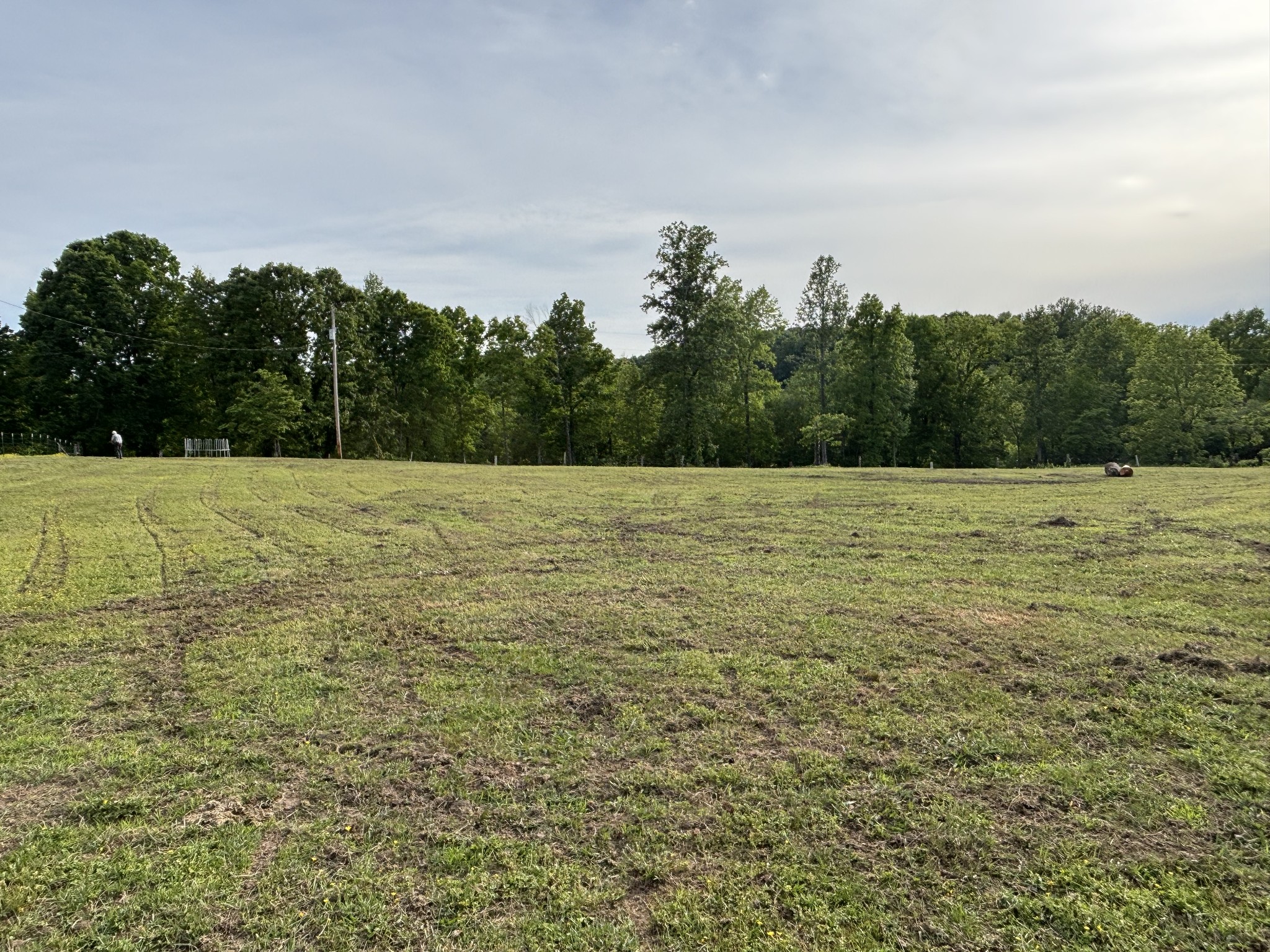 0 Rocky Point Road Bon Aqua, TN 37025 - Photo 8 of 12 a view of a field with an outdoor space
