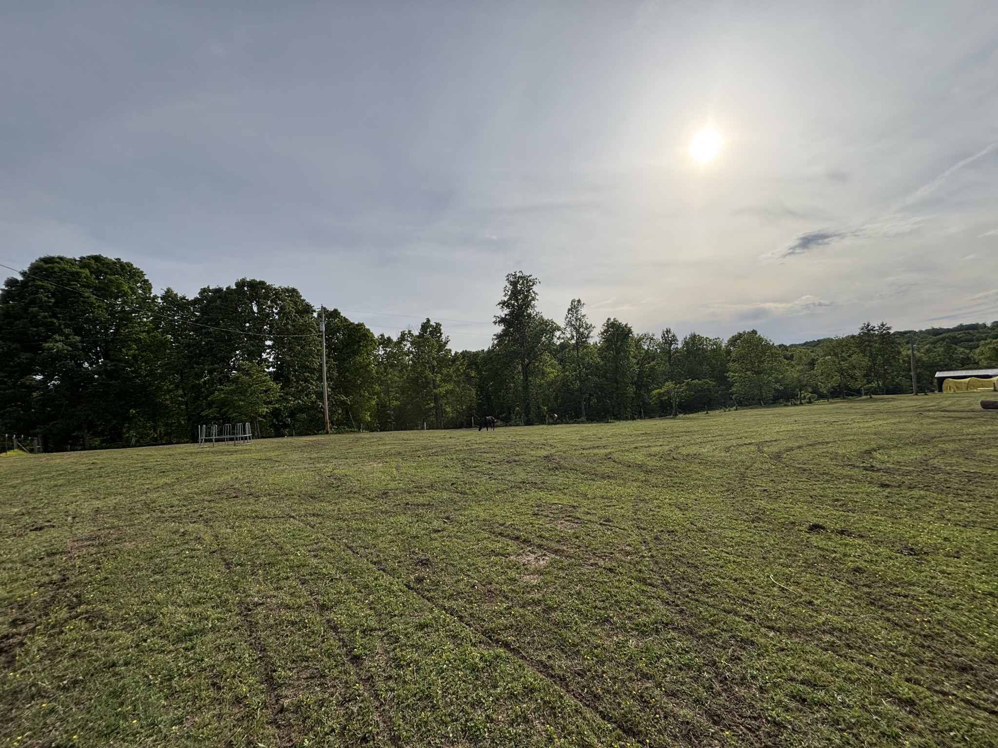 0 Rocky Point Road Bon Aqua, TN 37025 - Photo 10 of 12 a big yard with lots of green space and fog