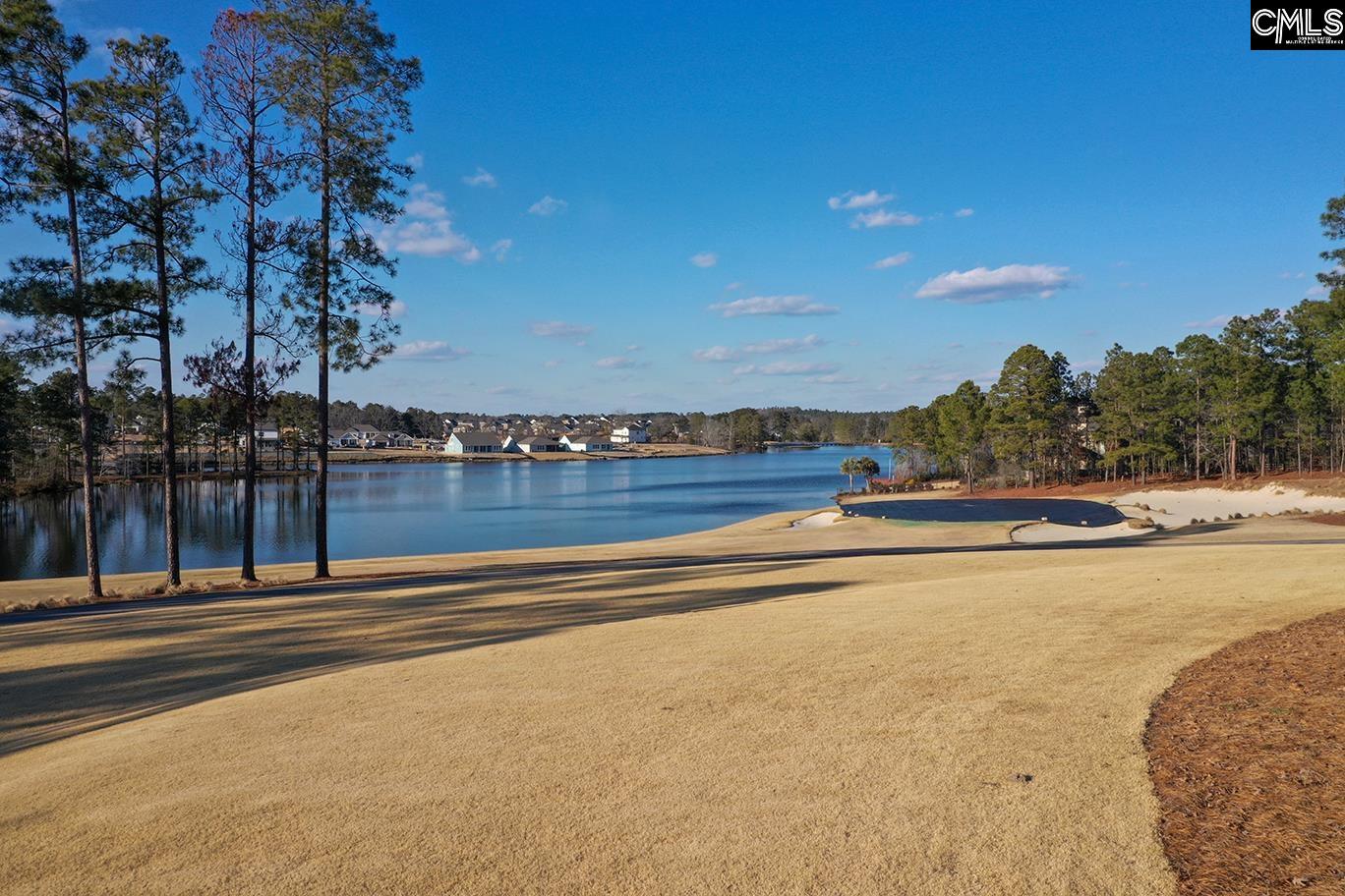 553 Jacobs Millpond Road Elgin, SC 29045 - Photo 67 of 74