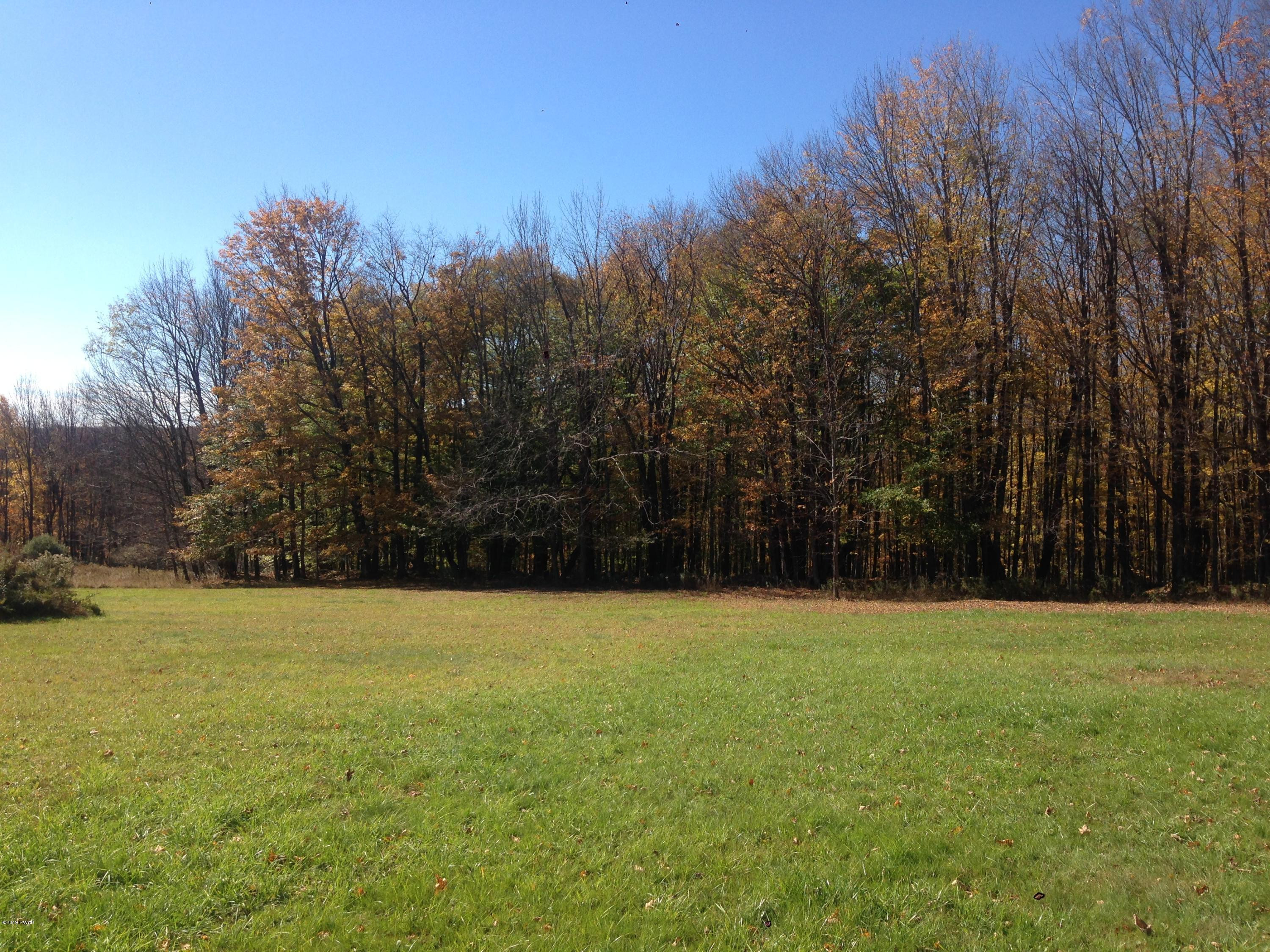 0 Miller Road Lake Ariel, PA 18436 - Photo 1 of 6