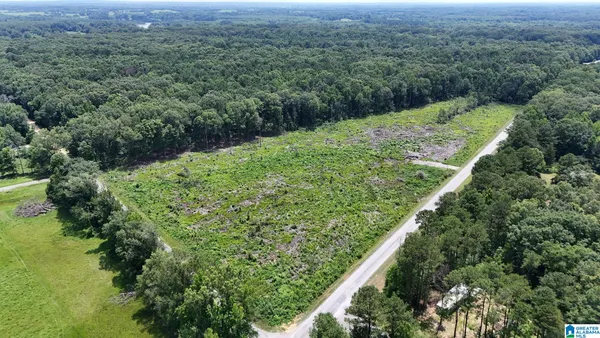 $63,000 | 0 County Road 16, Greensboro, AL 36744