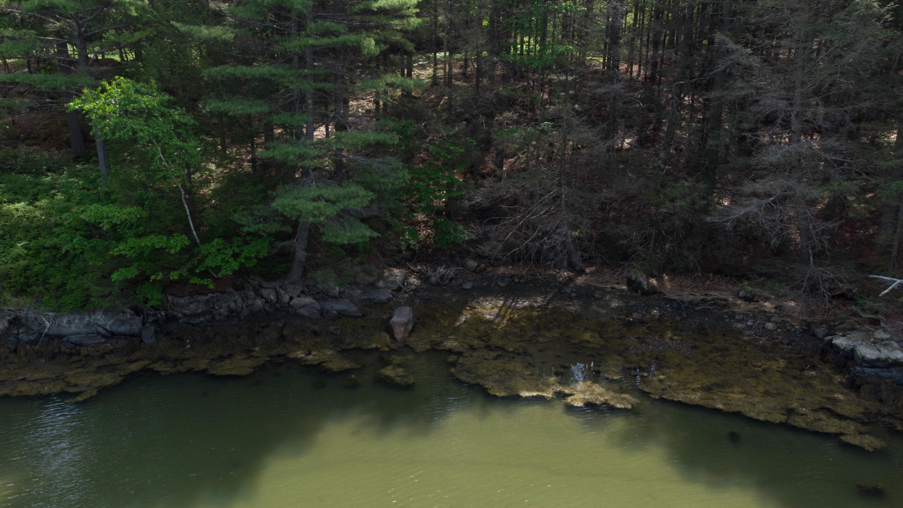 56 Cushman Point Road Wiscasset, ME 04578 - Photo 32 of 38 DJI_0150