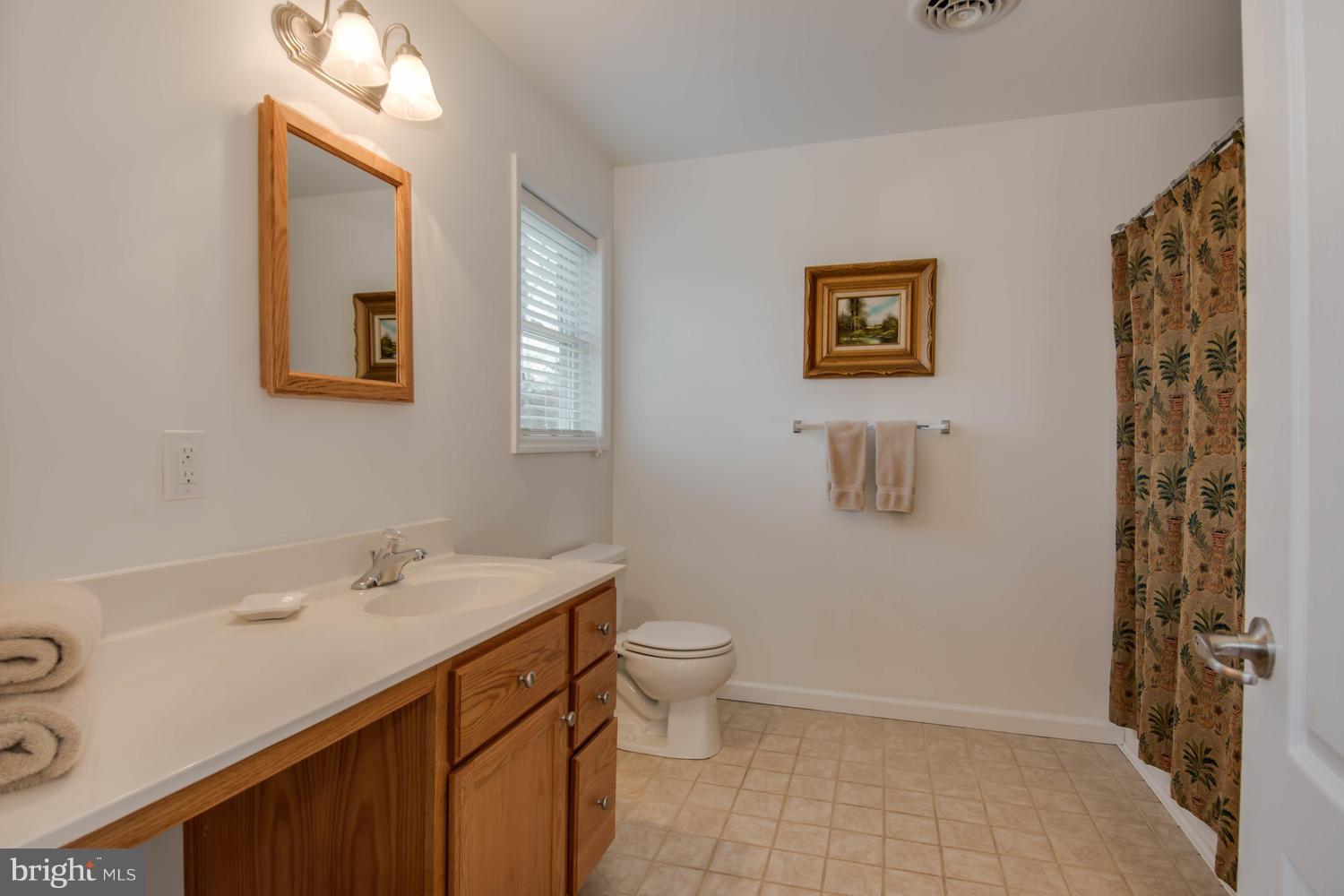 29030 Belchester Road Kennedyville, MD 21645 - Photo 21 of 30 a bathroom with a sink a toilet and a mirror