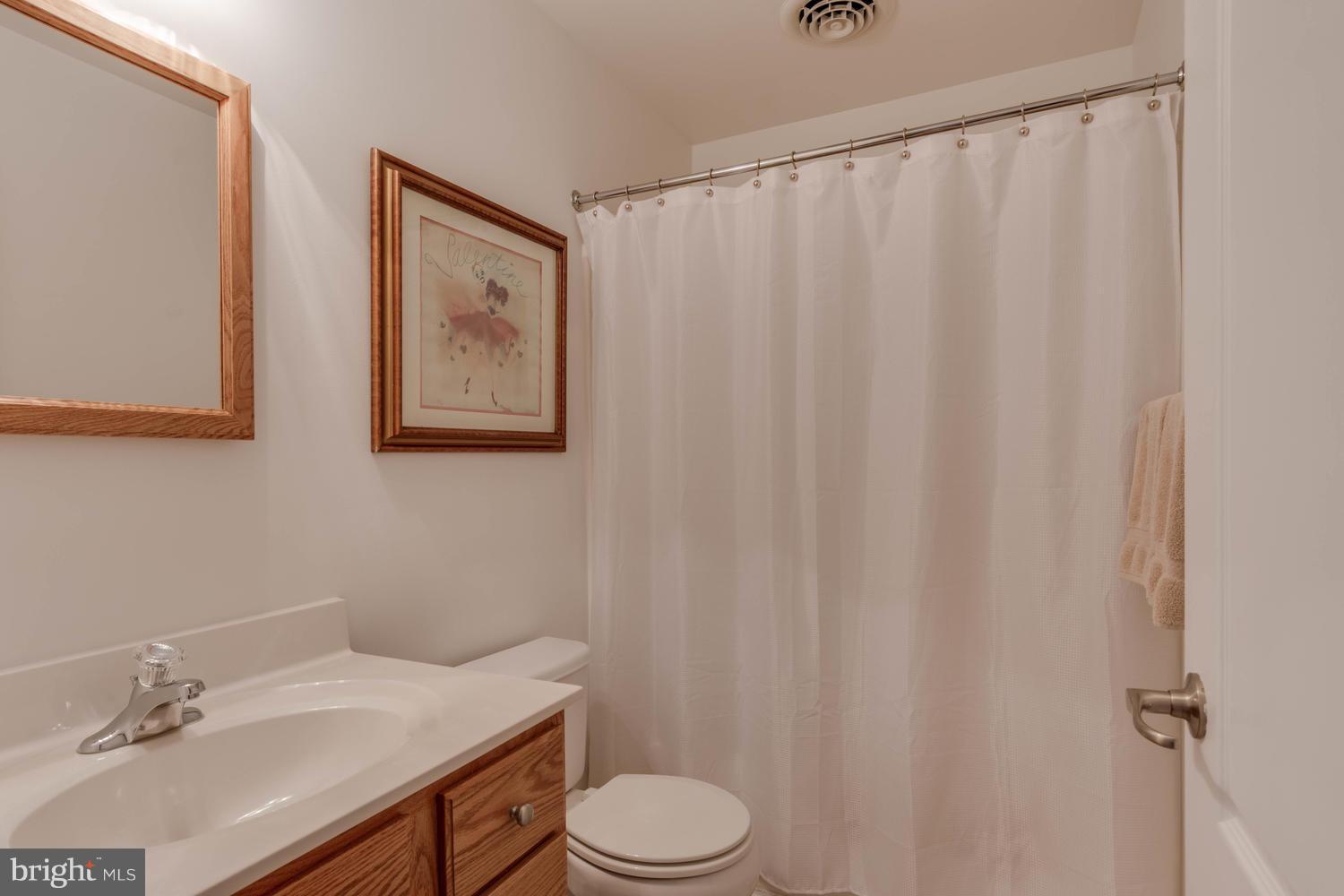 29030 Belchester Road Kennedyville, MD 21645 - Photo 28 of 30 a bathroom with a sink vanity and toilet