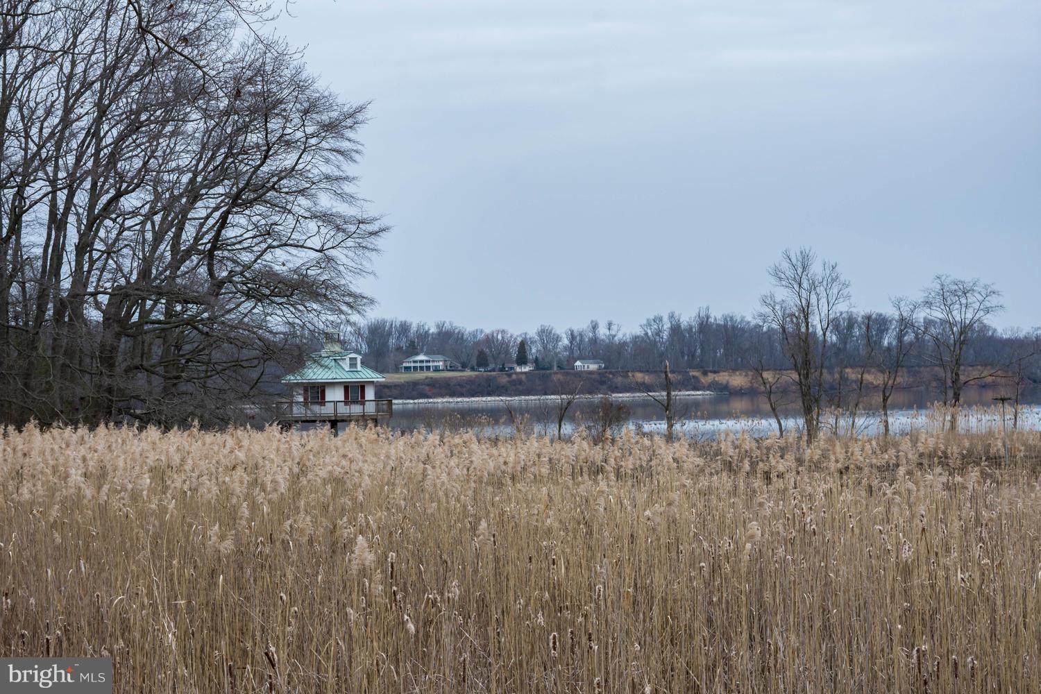 29030 Belchester Road Kennedyville, MD 21645 - Photo 3 of 30 a view of lake with trees