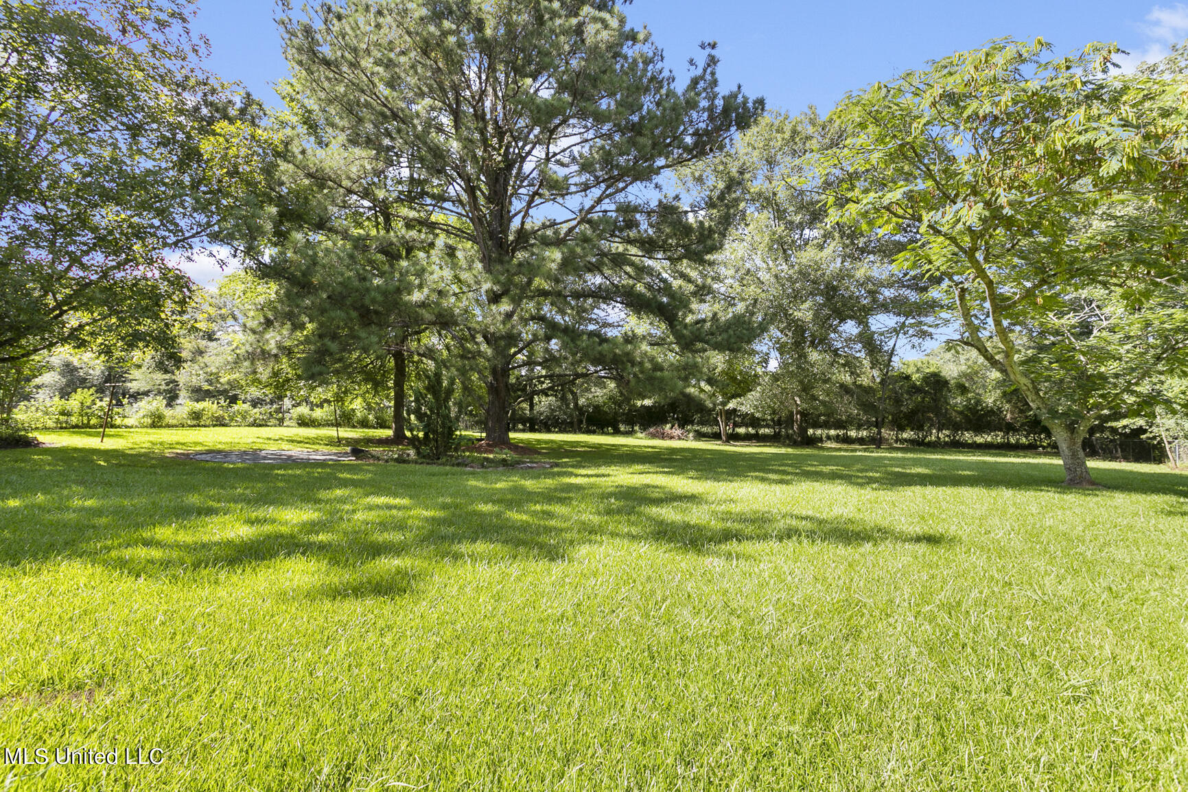 317 Ragan Street Pelahatchie, MS 39145 - Photo 12 of 37 317 Ragan final-3