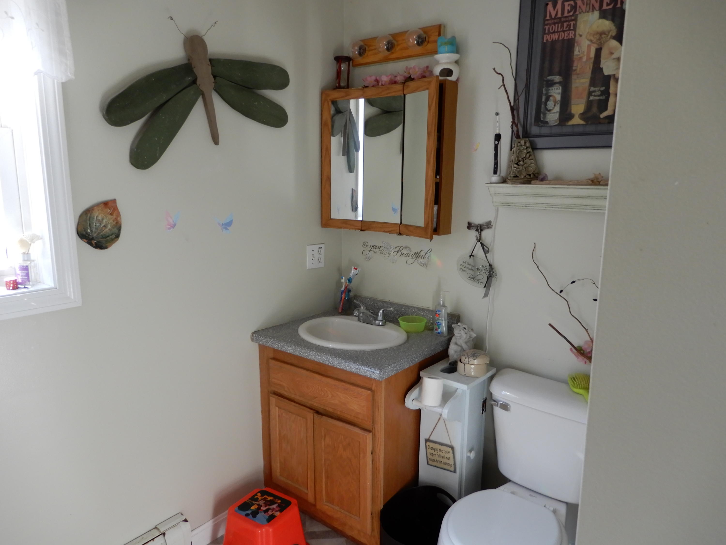 16 Durgintown Road Hiram, ME 04041 - Photo 10 of 15 DSCN4132