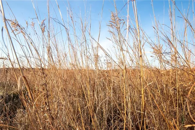 $1,152,800 | West State M Highway, Eagleville, MO 64442