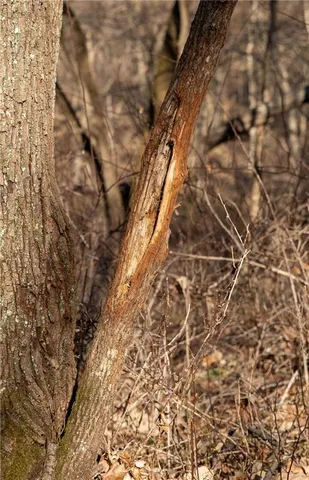 $1,152,800 | West State M Highway, Eagleville, MO 64442