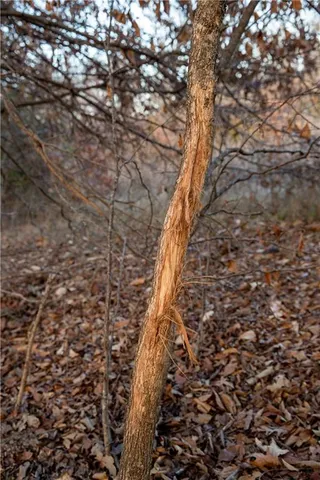 $1,152,800 | West State M Highway, Eagleville, MO 64442