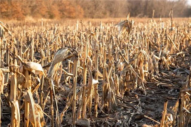 $1,152,800 | West State M Highway, Eagleville, MO 64442