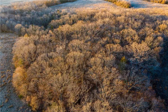 $1,185,000 | West State M Highway, Eagleville, MO 64442