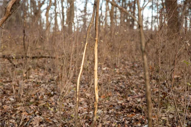 $1,152,800 | West State M Highway, Eagleville, MO 64442