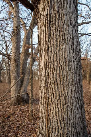 $1,152,800 | West State M Highway, Eagleville, MO 64442