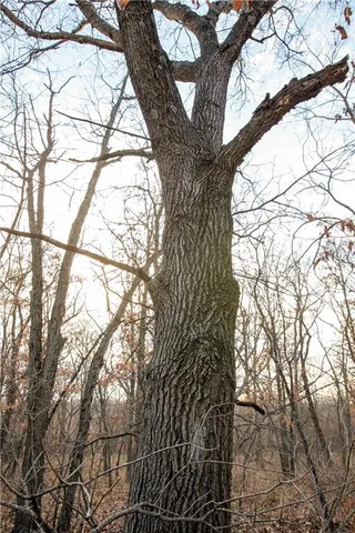 $1,152,800 | West State M Highway, Eagleville, MO 64442