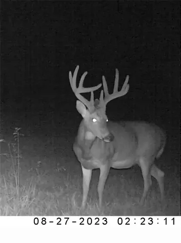 $1,152,800 | West State M Highway, Eagleville, MO 64442