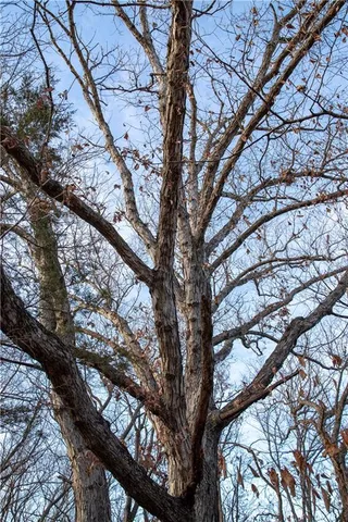 $1,185,000 | West State M Highway, Eagleville, MO 64442