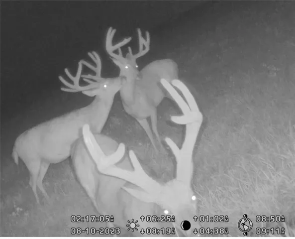 $1,152,800 | West State M Highway, Eagleville, MO 64442