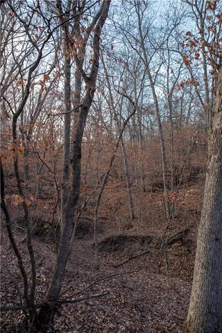 $1,185,000 | West State M Highway, Eagleville, MO 64442