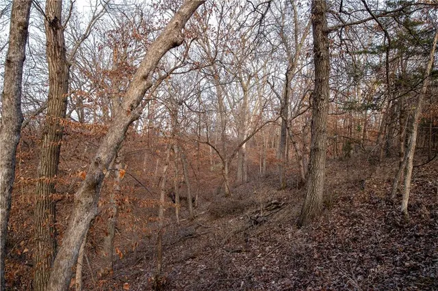 $1,185,000 | West State M Highway, Eagleville, MO 64442