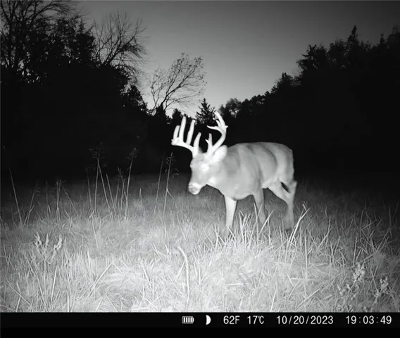 $1,152,800 | West State M Highway, Eagleville, MO 64442