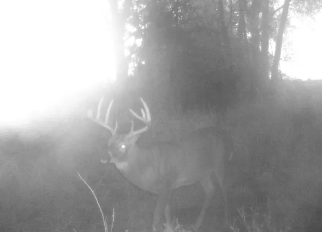 $1,152,800 | West State M Highway, Eagleville, MO 64442