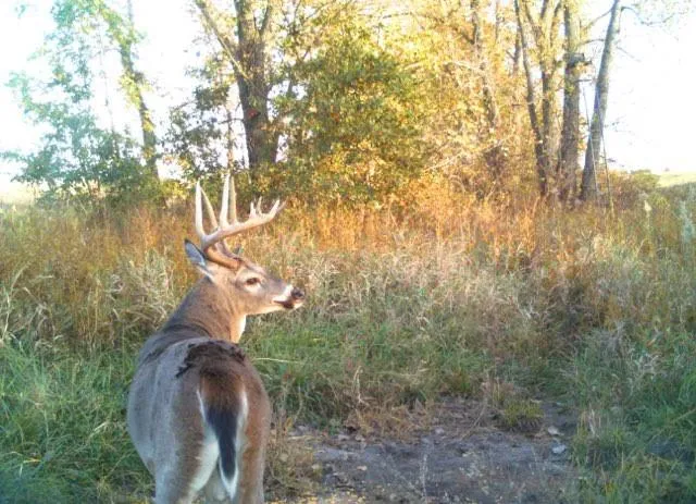 $1,152,800 | West State M Highway, Eagleville, MO 64442