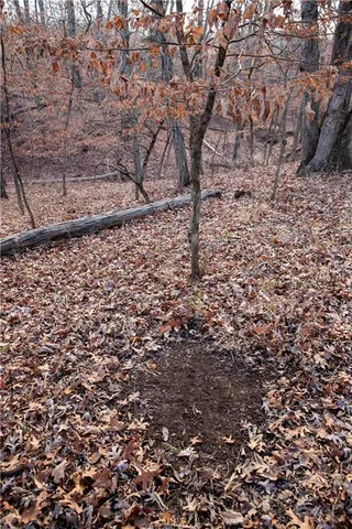 $1,185,000 | West State M Highway, Eagleville, MO 64442