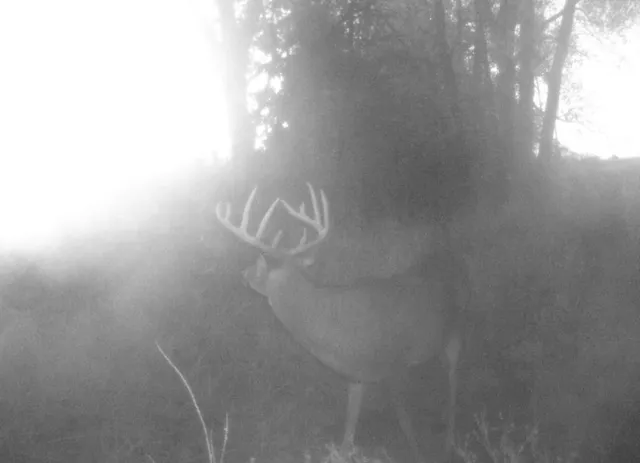 $1,152,800 | West State M Highway, Eagleville, MO 64442