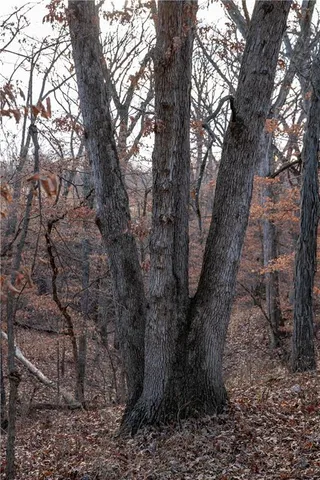 $1,185,000 | West State M Highway, Eagleville, MO 64442