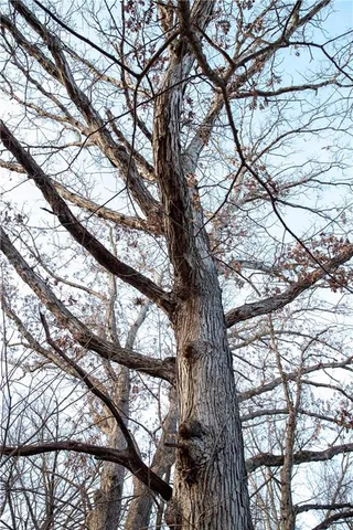 $1,185,000 | West State M Highway, Eagleville, MO 64442