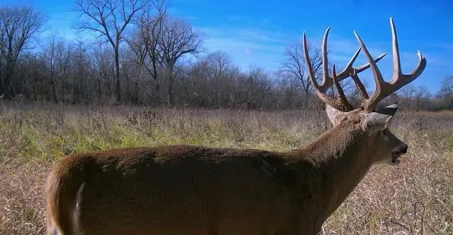 $1,152,800 | West State M Highway, Eagleville, MO 64442